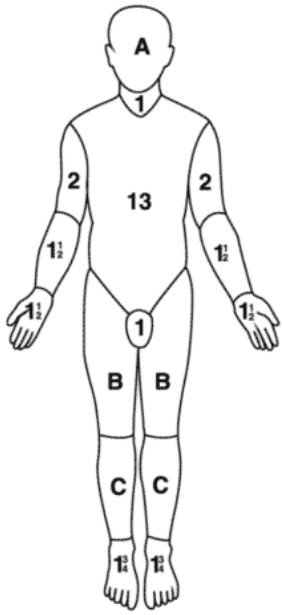 인체 전면 다이어그램